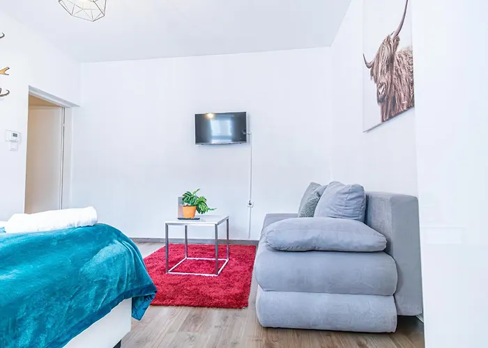 Apartment Comfort Modern 1br For Couples And Friends